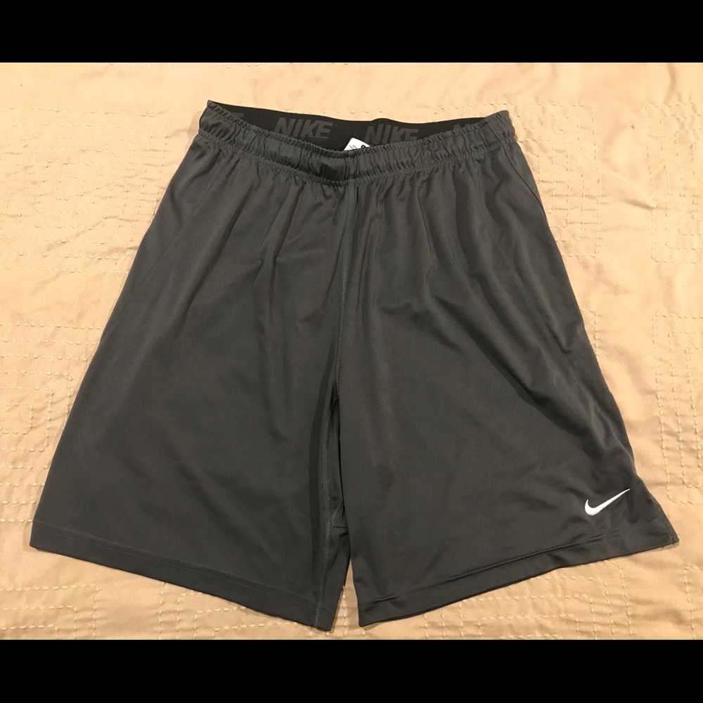 Nike Dri-Fit shorts, Adult Large